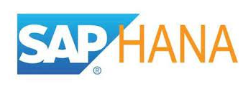 SAP HANA : Brand Short Description Type Here.